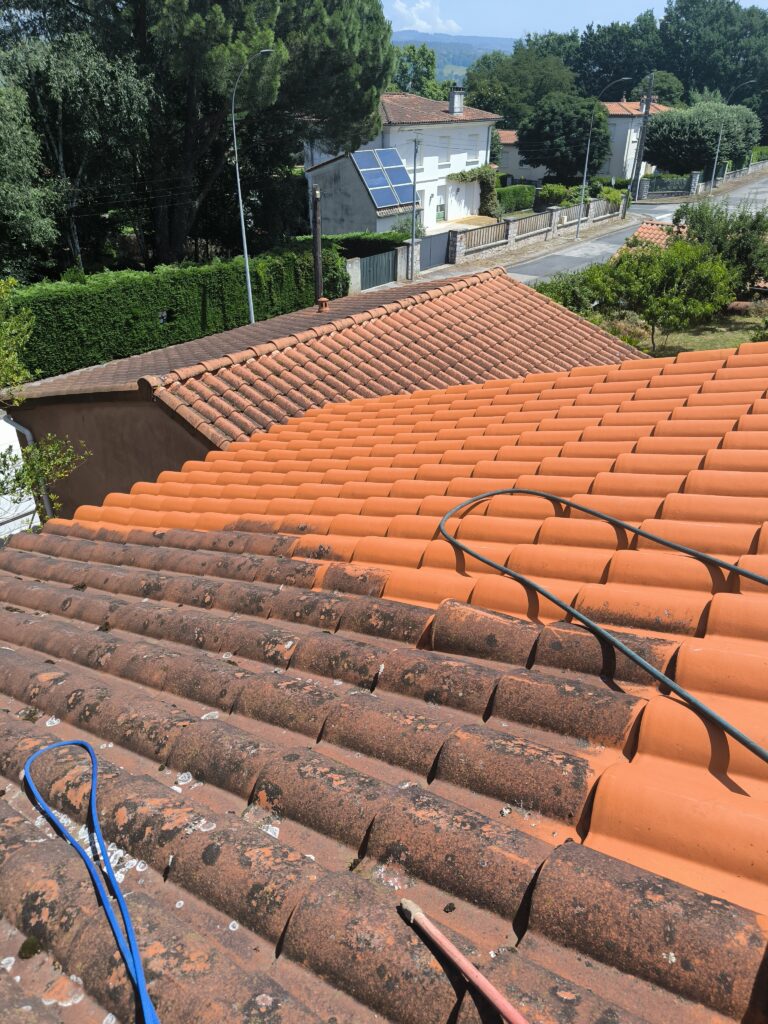 Zoom sur une toiture avec un côté nettoyé à la vapeur