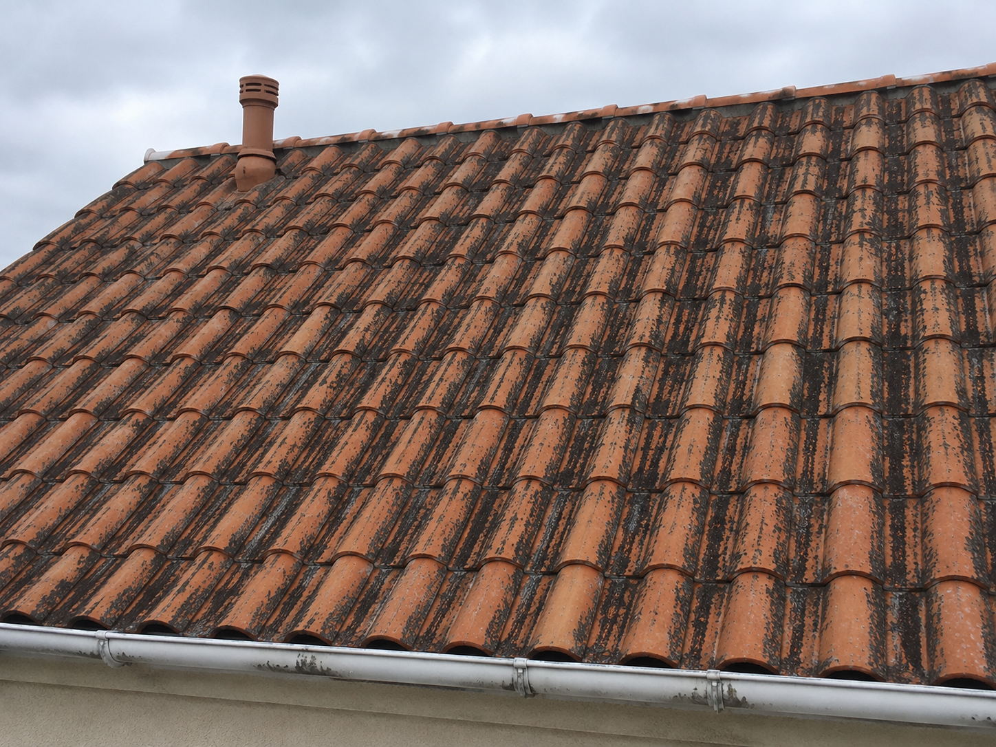 Une toiture traité avec un produit chimique